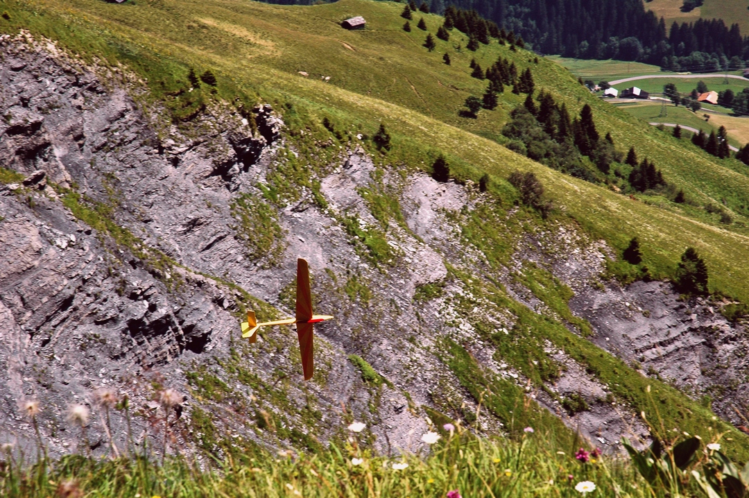 DSC_0726_modifié red