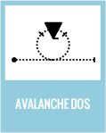 Avalanche dos